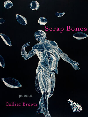 cover image of Scrap Bones